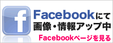 Facebookページで写真が見れます